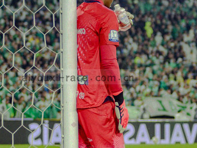 带有射门点和热力图的球场示意图